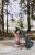 IMG_6827.jpeg