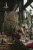 IMG_7732.jpeg