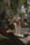 IMG_7733.jpeg