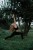 IMG_8904_compressed_2024_09_27_184414.JPG